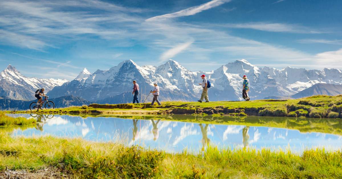 Day Trip to Grindelwald and Interlaken from Zürich in Switzerland Klook Canada